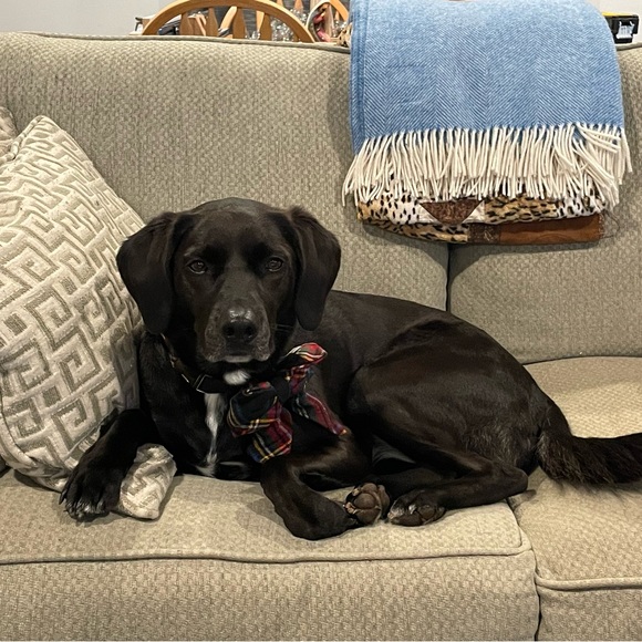 Meet the Posher! - Picture 3 of 16